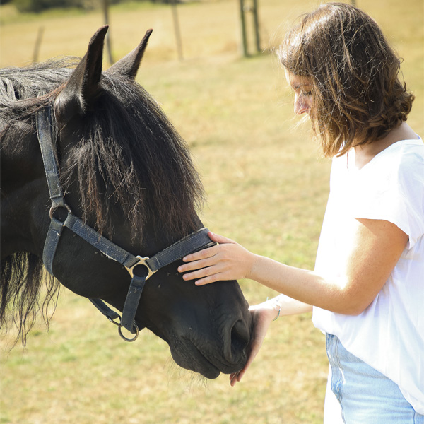 terapia con caballos